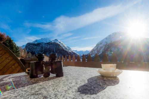 Abitaziun Murinella - Pontresina - image 8