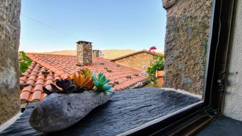 Casa Catraia Gondramaz no Pulmão da Serra da Lousã