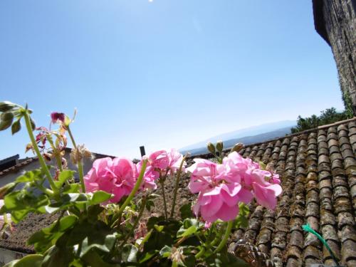 Apartamentos Azahar