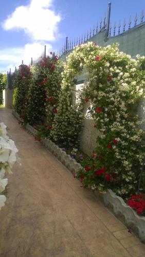 Bed and Breakfast Angolo Fiorito