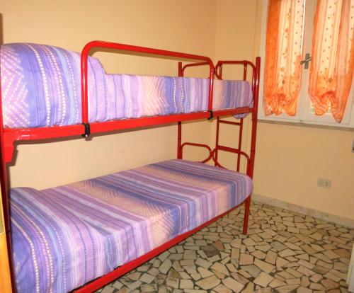Cortina 1-46, Lido di Pomposa (foto 10)