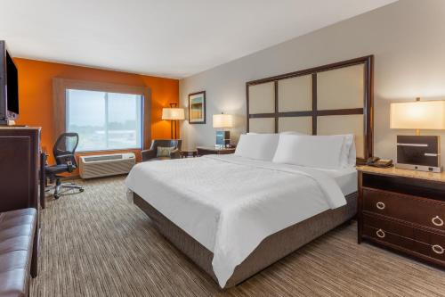 Holiday Inn Express - Albert Lea