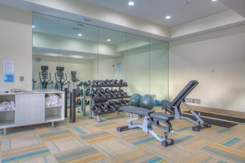Holiday Inn Express and Suites Remington By IHG - 피트니스 센터