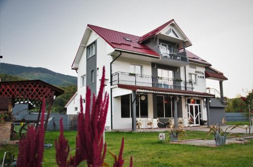 Casa Sonya in Aninoasa
