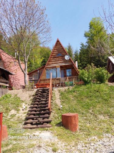 Noclegi Domki NIEDŹWIEDZIA GÓRKA - Chalet - Czarna