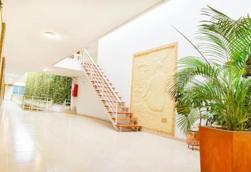 Viesnīcas āriene, Hotel Thama in Palmira