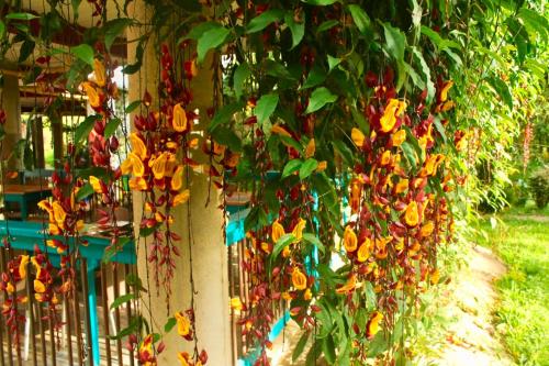 lulo s hostal en jardin colombia 100