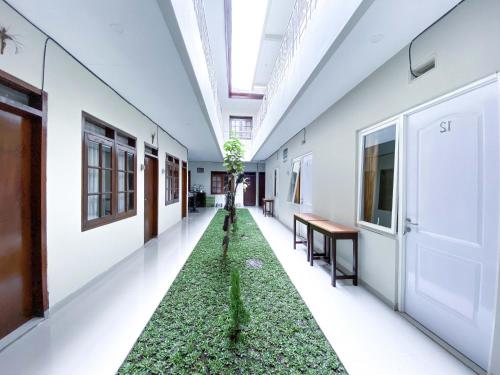 RedDoorz At Simpang Borobudur, Malang