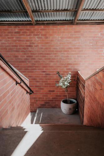 Apartments on Belmore - The Ledger