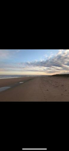 23 C Allan Gardens in โดโนช