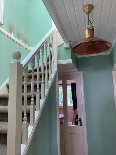 Wallaby’s in 德內斯