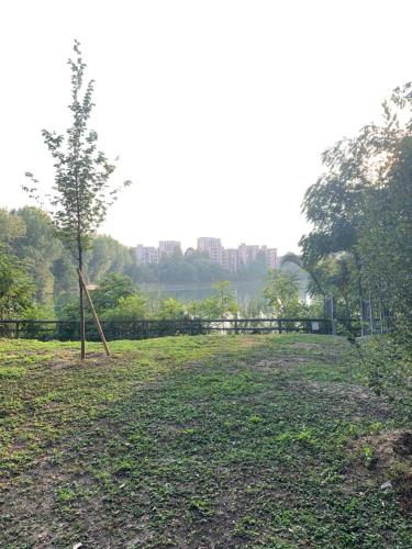 San Donato Policlinico BBking