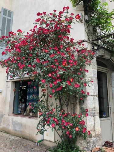 Le Mûrier bleu chambre d'hôte Bois de Sanary
