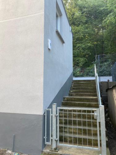 Großer Vampir in Thale, Deutschland