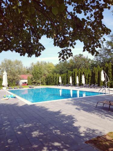 Swimming pool, Vadvirag Panzio in Sopron