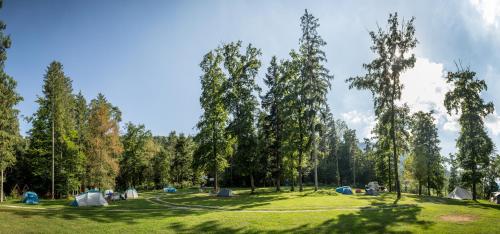 Forest Camping Mozirje - image 10