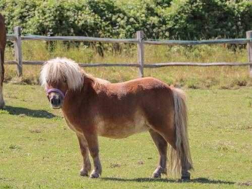 1 Paythorne Farm Cottages