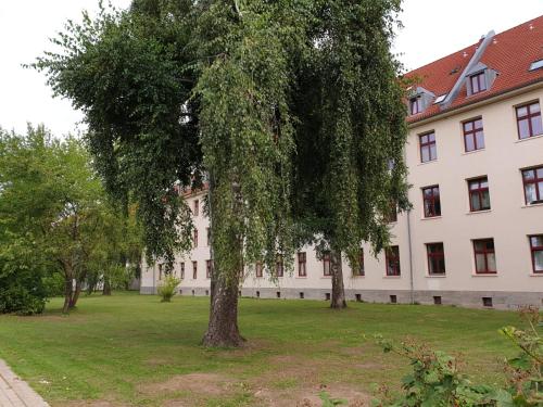 Unterkunft Greifswald 2