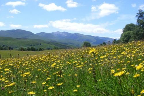 Cul Darach Lodge, Glen Roy Nature Reserve, , Highlands