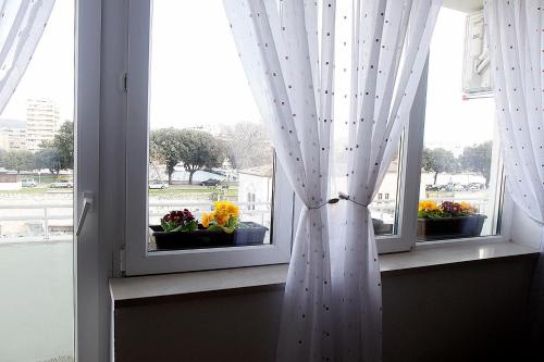 City Center Accommodation