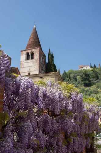 B&B Borgo Castello