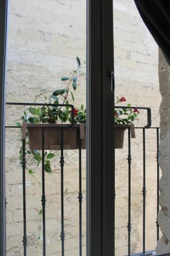 B&B Dei Cardinale – Bari, LA