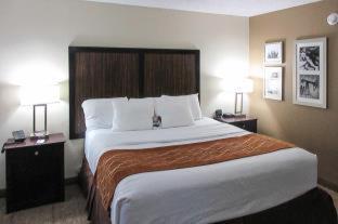 Comfort Inn Dallas Park Central - image 12