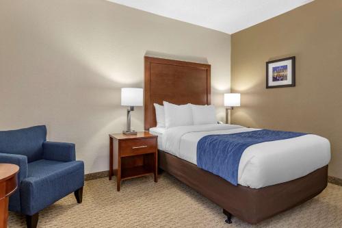 Comfort Inn Near Greenfield Village