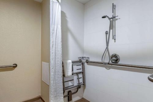 Comfort Inn Near Greenfield Village - image 6