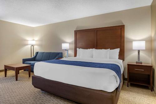 Comfort Inn Near Greenfield Village