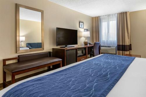 Comfort Inn Near Greenfield Village