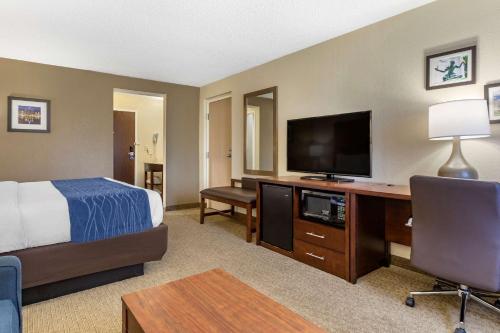 Comfort Inn Near Greenfield Village