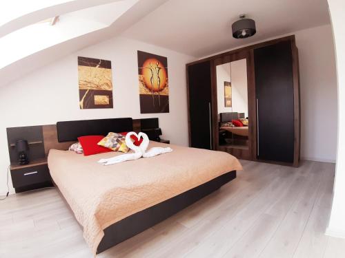 Apartamenty Asis