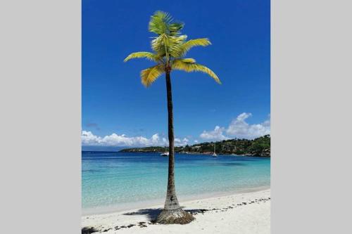 T2 spacieux et moderne - Plages a proximites