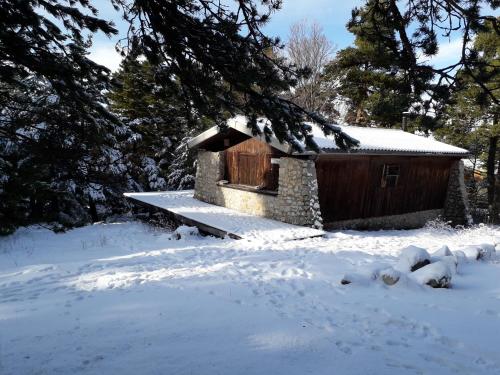 Mon chalet au Mont Ventoux - Mont Serein gîte à louer Saint-Léger-du-Ventoux
