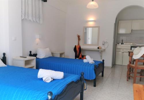 Aretousa Villas Room Type - Budget Twin Room Semi Basement