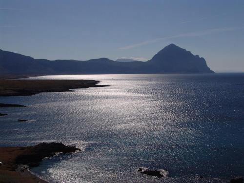 Ciuri Di Gelsomino - image 3