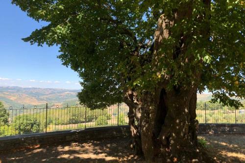 Casa Molise - Relax ai piedi del Matese tra natura e paesaggi