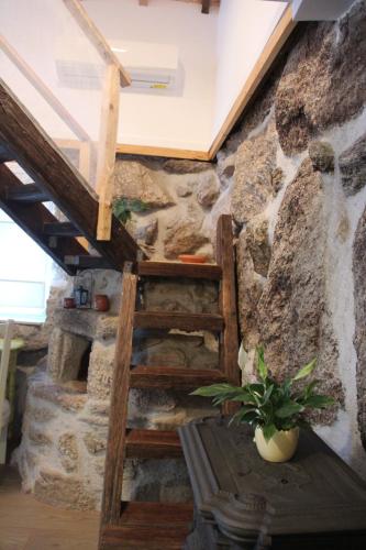 Bosque dos Amieiros