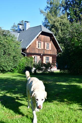 Naturforsthaus Ferienwohnung für tierverbundene Menschen