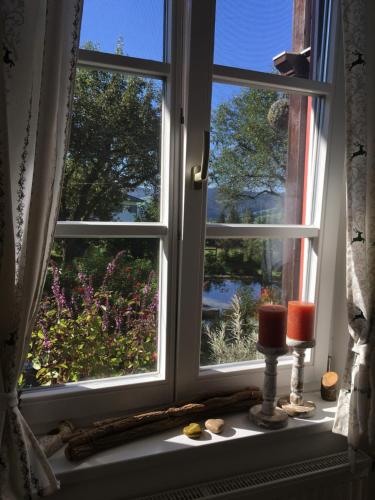  Naturforsthaus Gartenblick für Hunde - und naturverbundene Menschen in Preitenegg