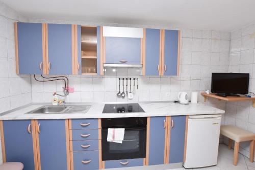 One-Bedroom Apartment image 10