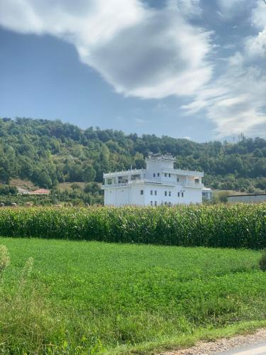 Hotel Golden Park