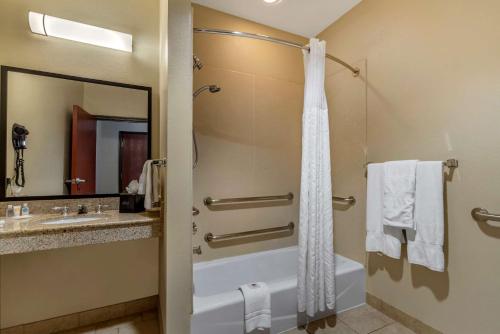 Comfort Suites Buda - image 2