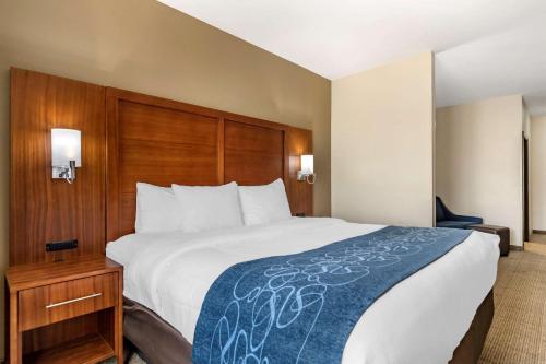 Comfort Suites Buda - image 8