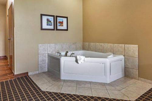 Comfort Suites Delavan - Lake Geneva Area