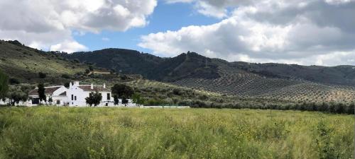 Cortijo Alzamigaja - image 7