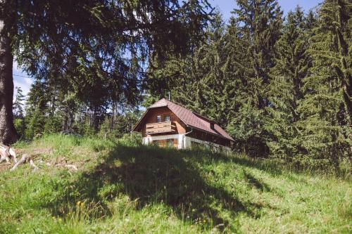  Moosbacher-Hütte, Ferienwohnung in Aichberg