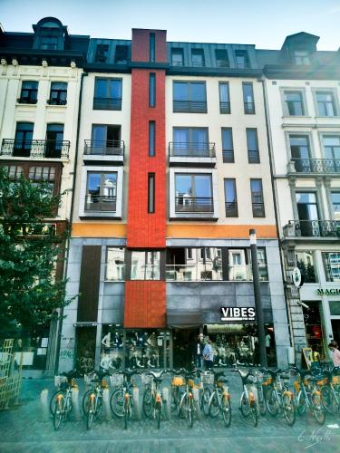 Studio au plein centre de la ville, Brussels (photo 6)