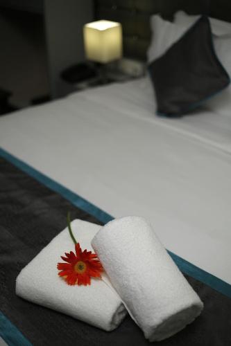 PARK IRIS HOTELS, Governerpet